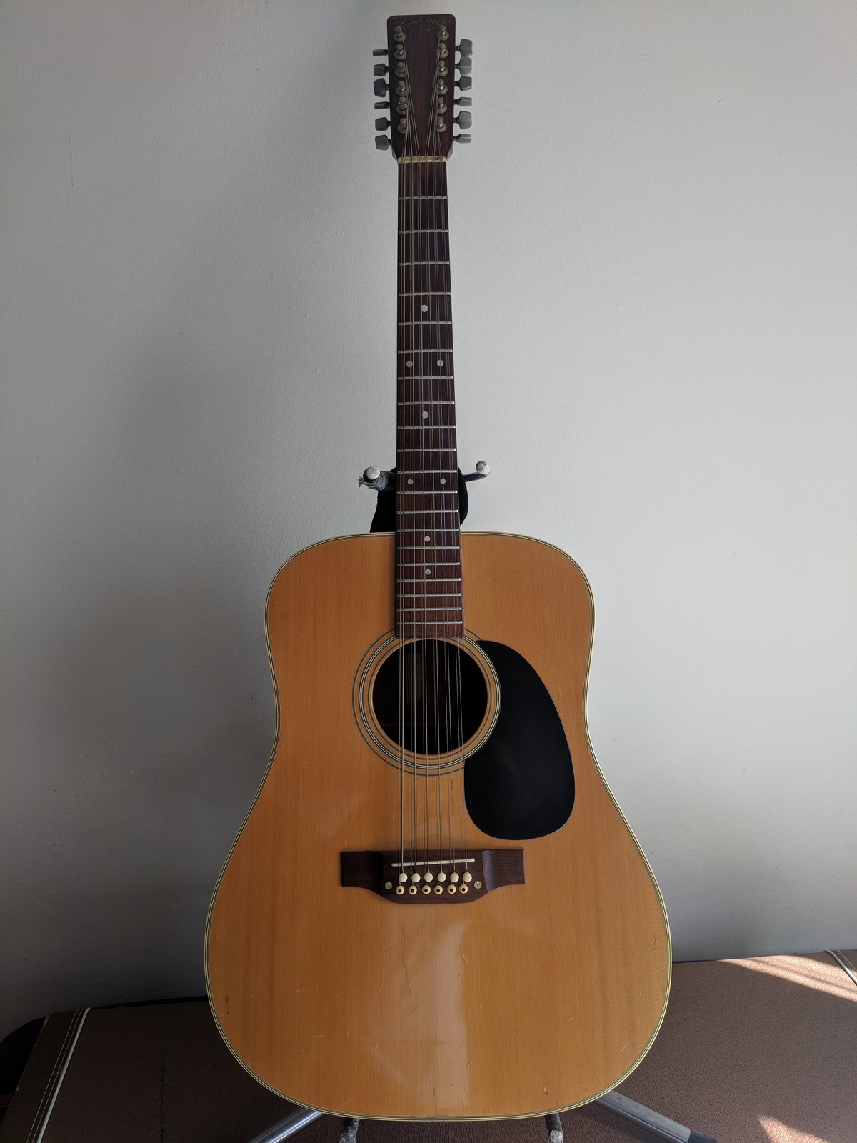 1977 Takamine 12-string